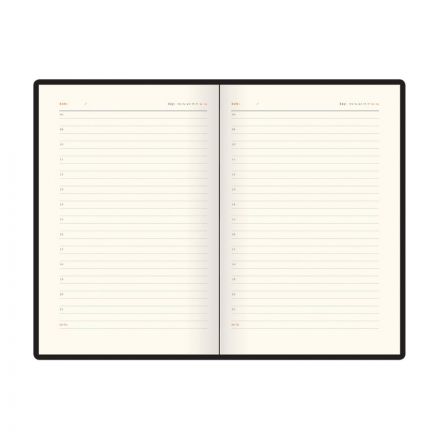 Ежедневник недатированный А5 BOSTON (СИНИЙ) 3-228/06