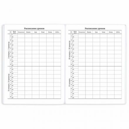 Дневник 1-11 класс 40 л., на скобе, ПИФАГОР, обложка картон, МИКС "Мальчики", 107138