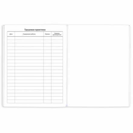 Дневник 1-11 класс 40 л., на скобе, ПИФАГОР, обложка картон, МИКС "Мальчики", 107138