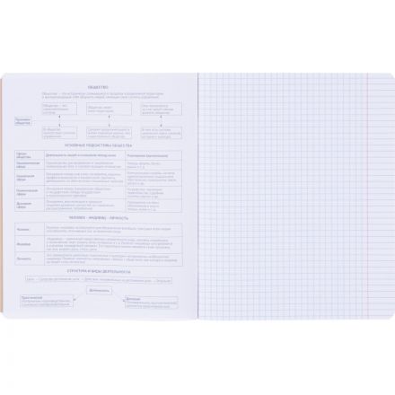 Тетрадь предметная BS, А5, 48л., клетка, скрепка. Oblivion, обществ. N4524