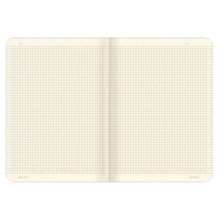 Тетради 60 л. в клетку обложка SoftTouch, НАБОР 2 шт., бежевая бумага 70 г/м2, сшивка, B5 (179х250 мм), FANTASY, BRAUBERG, 403820