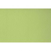 Модуль прямой MV_Холл 2-мест. (Hol2) к/з Oregon 19 св.зеленый