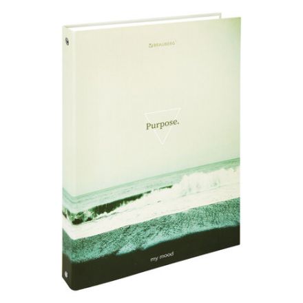 Тетрадь на кольцах БОЛЬШАЯ А4, 215х305 мм, 100 л., твердый картон, клетка, BRAUBERG, "Nature", 405411