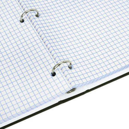 Тетрадь на кольцах БОЛЬШАЯ А4, 215х305 мм, 100 л., твердый картон, клетка, BRAUBERG, "Nature", 405411