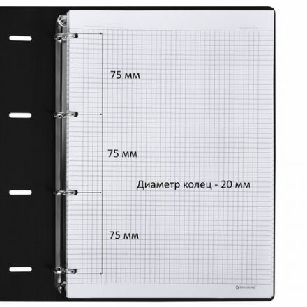 Тетрадь на кольцах БОЛЬШАЯ А4 (240х310 мм), 120 л., под кожу, BRAUBERG VISTA, "Гранаты", 404513