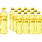 Напиток Святой Источни Вода + Сок со вкусом цитрусов, газ ПЭТ 0,5л