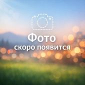 Кресло СН-710 Айкью Н/п СН D26-29 (оранжевый)