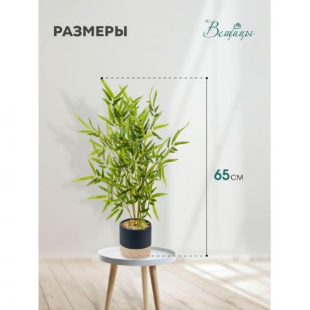 Цветок искусственный Бамбук в цементном горшке, Д125 Ш125 В650,Mia5