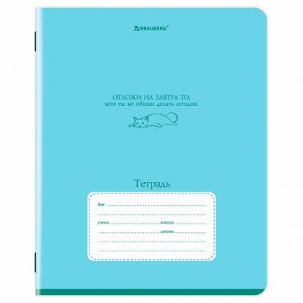 Тетрадь 24 л. BRAUBERG клетка, обложка картон, PHRASES, 107304