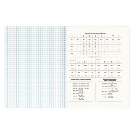 Тетради предметные, КОМПЛЕКТ 12 ПРЕДМЕТОВ, 48 л., глянцевый УФ-лак, BRAUBERG, "SHADE", 404324