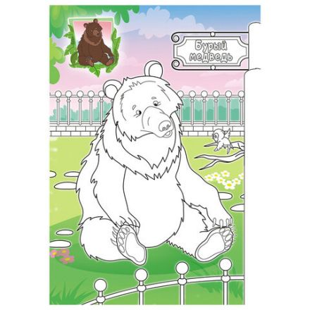 Раскраска с заданиями "Для мальчиков и девочек" с цветным фоном, А5, 16 стр., 16,2х23,4 см, АССОРТИ, ЛиС