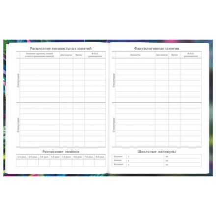 Дневник 5-11 класс 48 л., твердый, BRAUBERG, выборочный лак, с подсказом, Машина, 107193