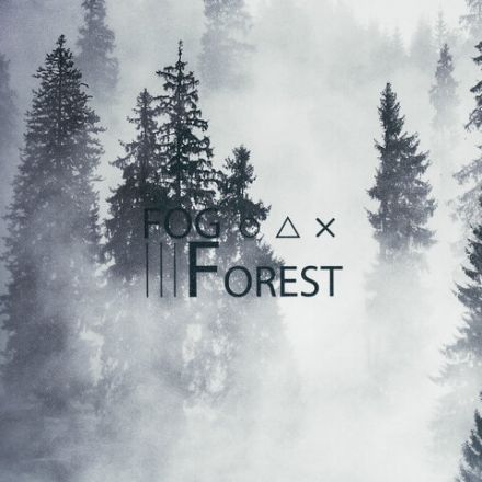 Тетрадь на кольцах БОЛЬШАЯ А4 (240х310 мм), 120 л., под кожу, BRAUBERG VISTA, "Туман", 404515