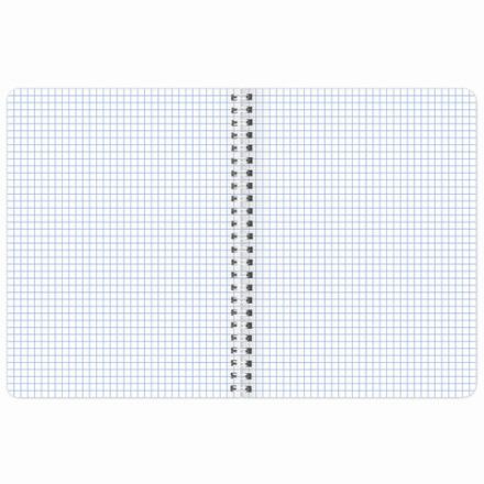 Тетрадь А5 120 л. BRAUBERG, гребень, клетка, глянцевая ламинация, "Растения" (микс в спайке), 404448