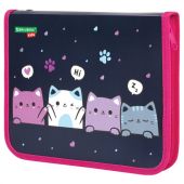 Папка для тетрадей BRAUBERG KIDS А5, 1 отделение, пластик, молния вокруг, "Anti-gravity", 273323