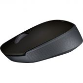 Мышь компьютерная Logitech USB OPTICAL WRL M171 BLACK