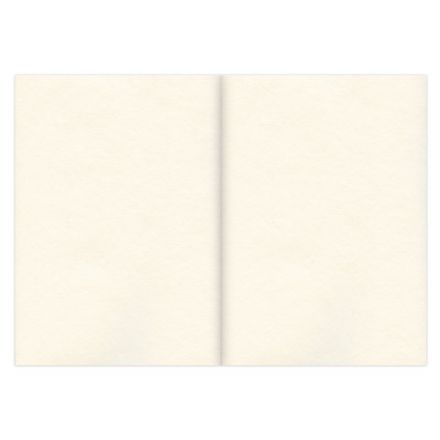 Скетчбук, слоновая кость 100 г/м2, 148х210 мм, 120 л., прошивка, BRAUBERG ART CLASSIC, 128961