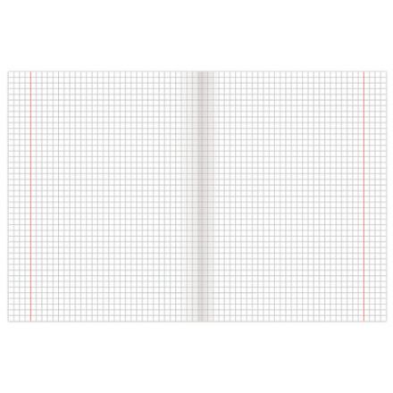 Тетрадь 12 л. BRAUBERG "ЭКО", клетка, обложка картон 170 г/м2, ПАСТЕЛЬНАЯ С УГОЛКОМ, 104503