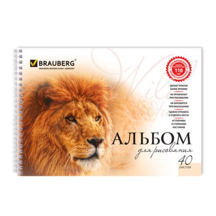 Альбом для рисования, А4, 40 листов, гребень, обложка картон, BRAUBERG, 205х290 мм, "Благородные кошки" (2 вида), 102831 Альбом для рисования, А4, 40 листов, гребень, обложка картон, BRAUBERG, 205х290 мм, "Благородные кошки" (2 вида), 102831