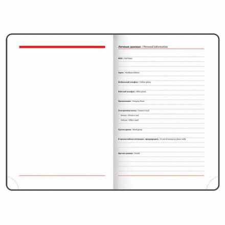 Ежедневник недатированный А5 (138х213 мм), BRAUBERG VISTA, под кожу, гибкий, 136 л., "Sky boat", 112042