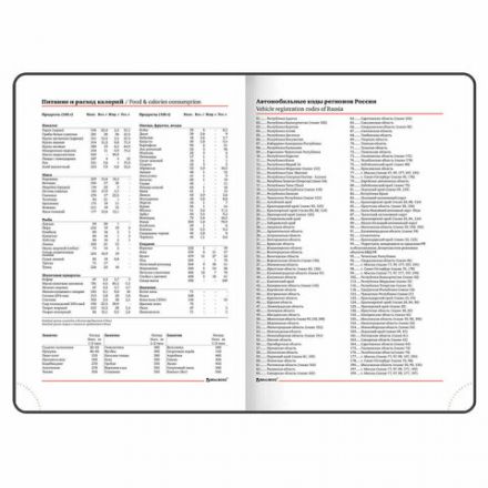 Ежедневник недатированный А5 (138х213 мм), BRAUBERG VISTA, под кожу, гибкий, 136 л., "Sky boat", 112042