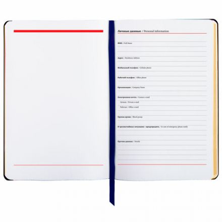 Ежедневник недатированный А5 (138х213 мм), BRAUBERG VISTA, под кожу, гибкий, 136 л., "Sky boat", 112042