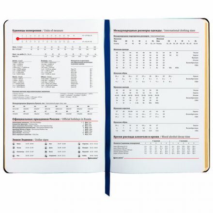 Ежедневник недатированный А5 (138х213 мм), BRAUBERG VISTA, под кожу, гибкий, 136 л., "Sky boat", 112042