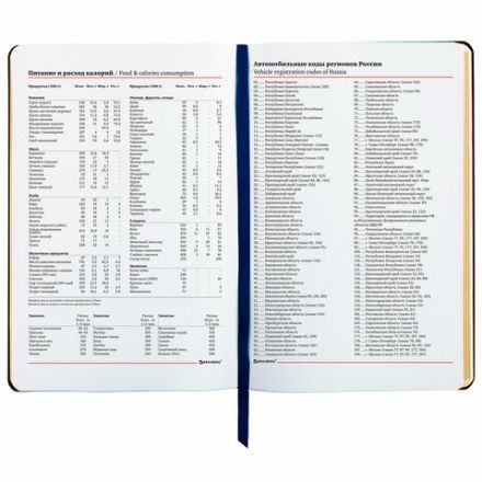 Ежедневник недатированный А5 (138х213 мм), BRAUBERG VISTA, под кожу, гибкий, 136 л., "Sky boat", 112042