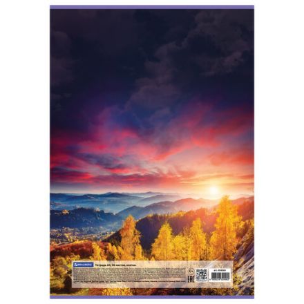 Тетрадь А4, 96 л., BRAUBERG, скоба, клетка, обложка картон, "Journey", 404064 Тетрадь А4, 96 л., BRAUBERG, скоба, клетка, обложка картон, "Journey", 404064