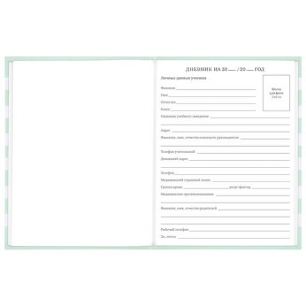 Дневник 1-11 класс 48 л., твердый, BRAUBERG, блестки, с подсказом, "Котик", 106606