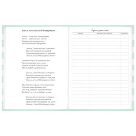 Дневник 1-11 класс 48 л., твердый, BRAUBERG, блестки, с подсказом, "Котик", 106606