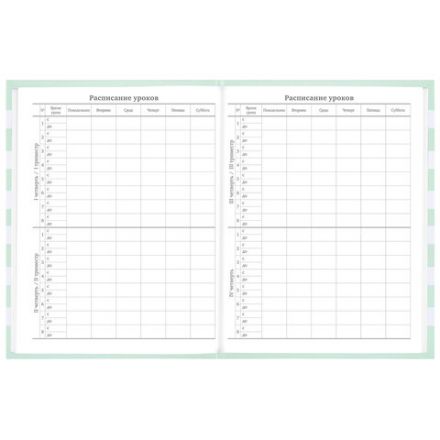 Дневник 1-11 класс 48 л., твердый, BRAUBERG, блестки, с подсказом, "Котик", 106606