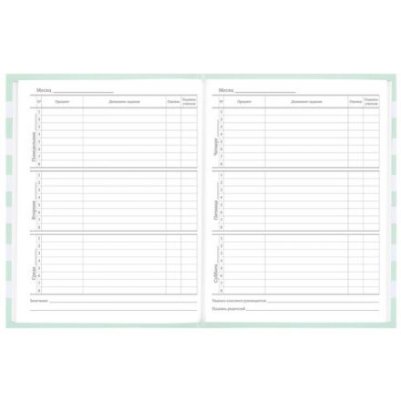 Дневник 1-11 класс 48 л., твердый, BRAUBERG, блестки, с подсказом, "Котик", 106606