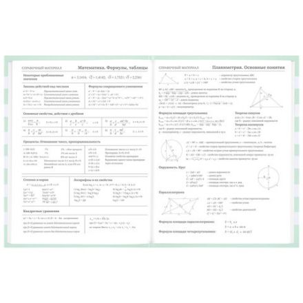 Дневник 1-11 класс 48 л., твердый, BRAUBERG, блестки, с подсказом, "Котик", 106606