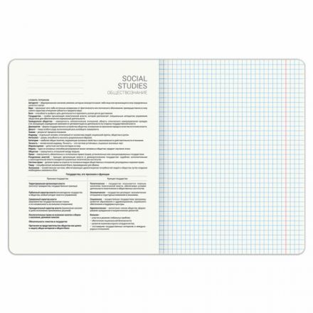 Тетрадь предметная DOG БОБИК 48 л., TWIN-лак, ОБЩЕСТВОЗНАНИЕ, клетка, подсказ, BRAUBERG, 404783 Тетрадь предметная DOG БОБИК 48 л., TWIN-лак, ОБЩЕСТВОЗНАНИЕ, клетка, подсказ, BRAUBERG, 404783