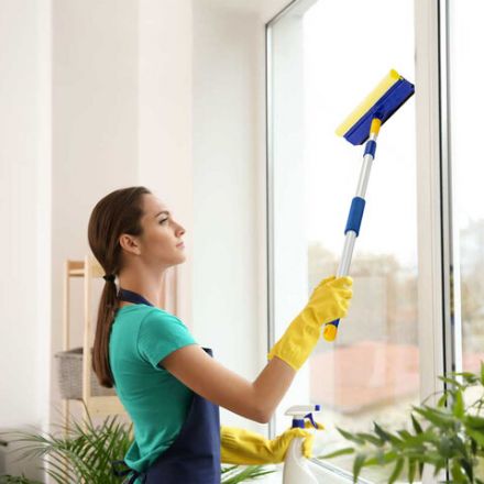 Окномойка LAIMA, алюминиевая телескопическая ручка 76-125 см, рабочая часть 25 см (стяжка, губка, ручка), для дома и офиса, 601493 Окномойка LAIMA, алюминиевая телескопическая ручка 76-125 см, рабочая часть 25 см (стяжка, губка, ручка), для дома и офиса, 601493