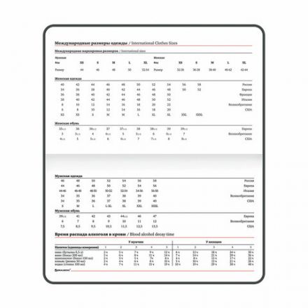 Еженедельник недатированный МАЛЫЙ ФОРМАТ 95х155 мм А6 BRAUBERG "Rainbow", под кожу, 64 л., черный, 114485