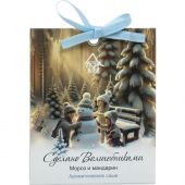 Аромасаше ароматическое СВ Мороз и мандарин АР 100-797