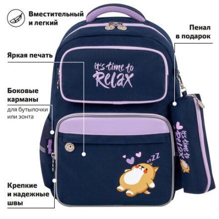 Рюкзак ЮНЛАНДИЯ COMPLETE, с пеналом в комплекте, эрго-спинка, "Bored cat", 42х29х14 см, 272055