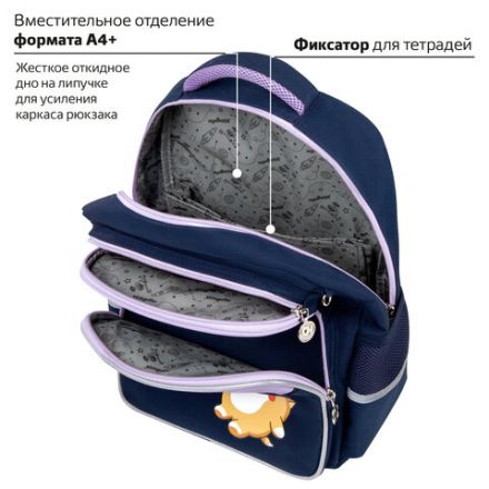 Рюкзак ЮНЛАНДИЯ COMPLETE, с пеналом в комплекте, эрго-спинка, "Bored cat", 42х29х14 см, 272055