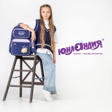 Рюкзак ЮНЛАНДИЯ COMPLETE, с пеналом в комплекте, эрго-спинка, "Bored cat", 42х29х14 см, 272055