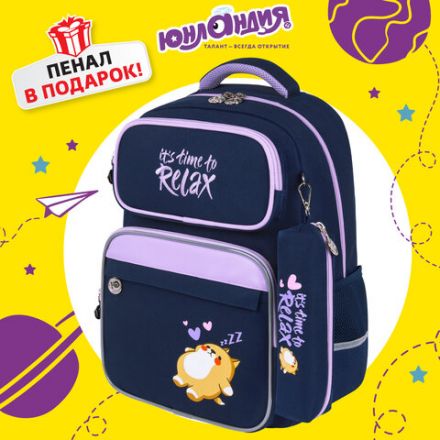 Рюкзак ЮНЛАНДИЯ COMPLETE, с пеналом в комплекте, эрго-спинка, "Bored cat", 42х29х14 см, 272055