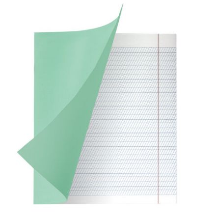 Тетрадь ВЕЛИКИЕ ИМЕНА. Пушкин А.С., 12л. частая косая С ДОПОЛНИТЕЛЬНОЙ ГОРИЗОНТАЛЬНОЙ, плотная бумага 80г/м, обложка офсет, BRAUBERG, 105718