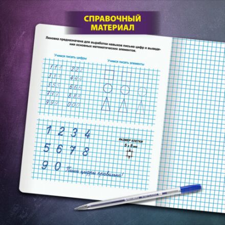 Тетрадь ПРОПИСЬ № 6 12 л. клетка, со справочным материалом, обложка картон, ЮНЛАНДИЯ, 404849
