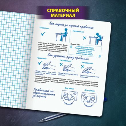 Тетрадь ПРОПИСЬ № 6 12 л. клетка, со справочным материалом, обложка картон, ЮНЛАНДИЯ, 404849