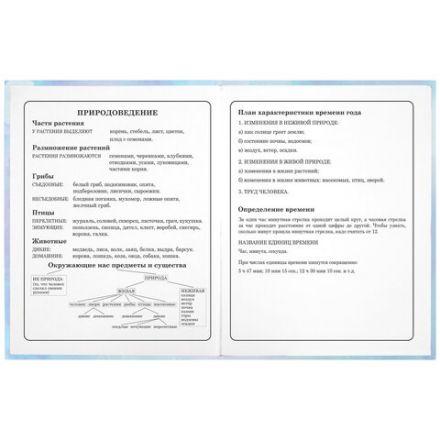 Дневник 1-4 класс 48 л., твердый, ЮНЛАНДИЯ, блестки, с подсказом, "Фея", 106608