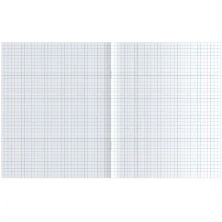 Тетрадь школьная А5 12л КРУПНАЯ КЛЕТКА Выбор есть Зеленый 20шт/уп