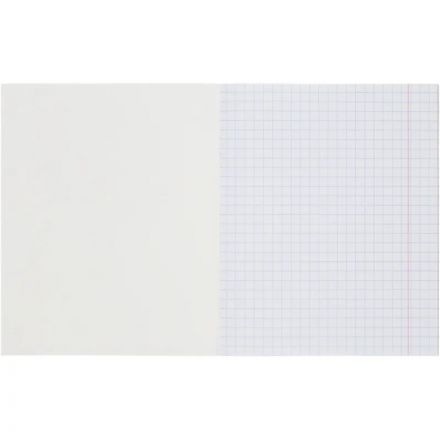 Тетрадь школьная А5 12л КРУПНАЯ КЛЕТКА Выбор есть Зеленый 20шт/уп