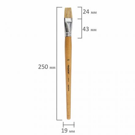 Кисть ПИФАГОР, ЩЕТИНА, плоская, № 20, деревянная лакированная ручка, пакет с подвесом, 200879