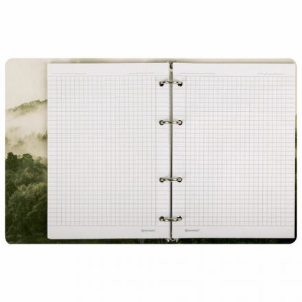 Тетрадь на кольцах А5 160х212 мм, 120 листов, картон, матовая ламинация, клетка, BRAUBERG, "Nature", 404728